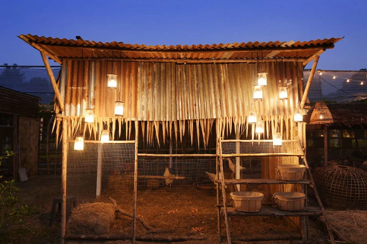 chicken-farm-light