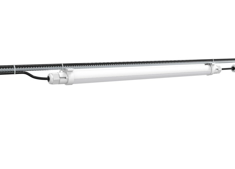 lighting for broilers