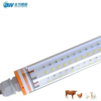 Het lichtgevende principe van de speciale lamp voor kippenhokken