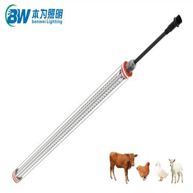 Kippenhokverlichting voor de productie van eieren