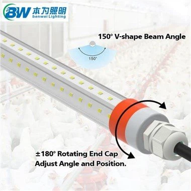 Verlichtingssysteem voor pluimvee
