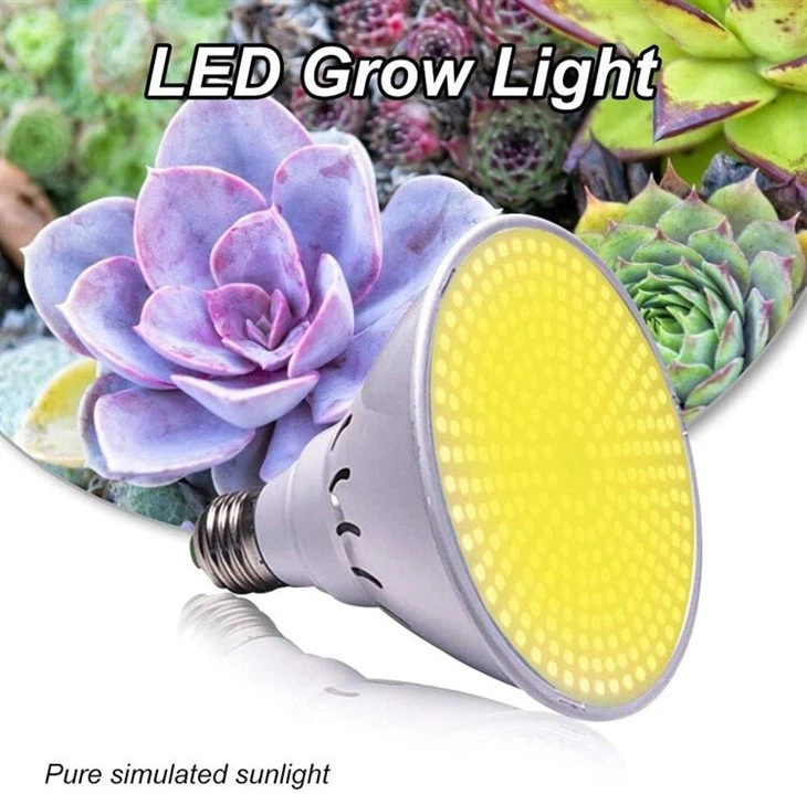 20W Grow Bulbs for Indoor Garden Greenhouse1