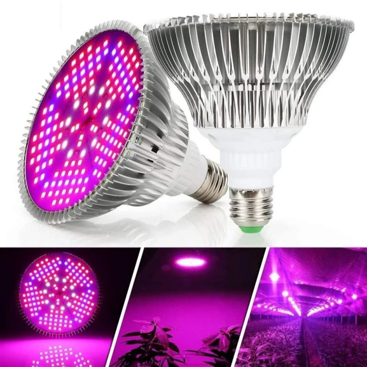 Dimbare kweeklamp