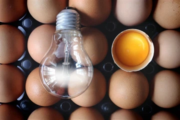 Effecten van lichtkleur op de gezondheid en het welzijn van pluimvee
