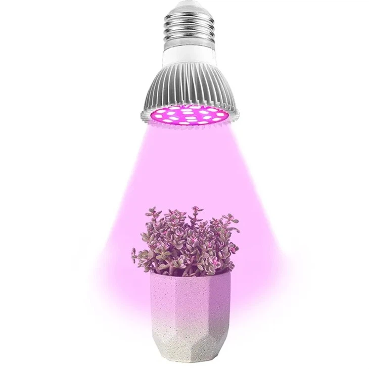 Gloeilamp voor kamerplanten