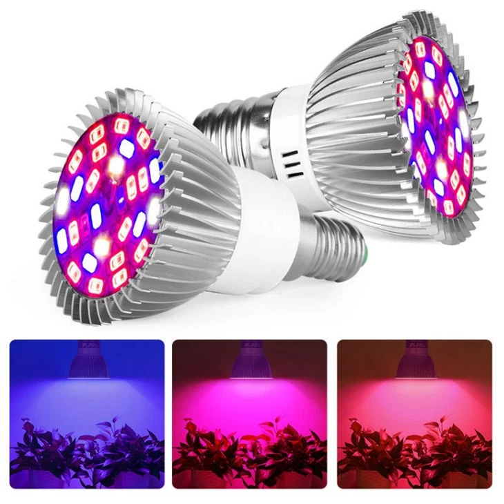 Lamp For Grow Light Bulb