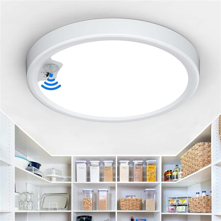 Motion Sensor Ceiling Light