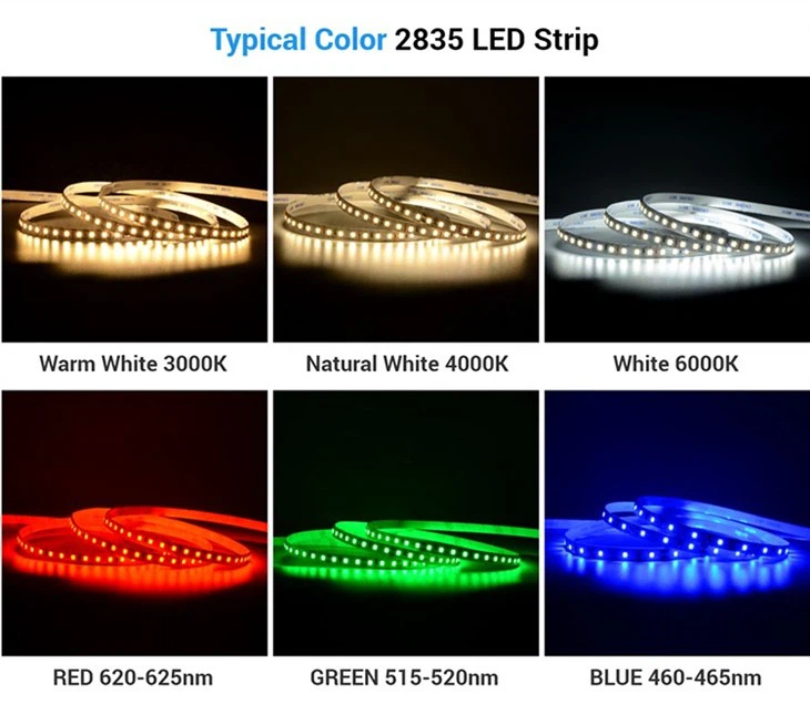 Outdoor LED Rope Lights 1