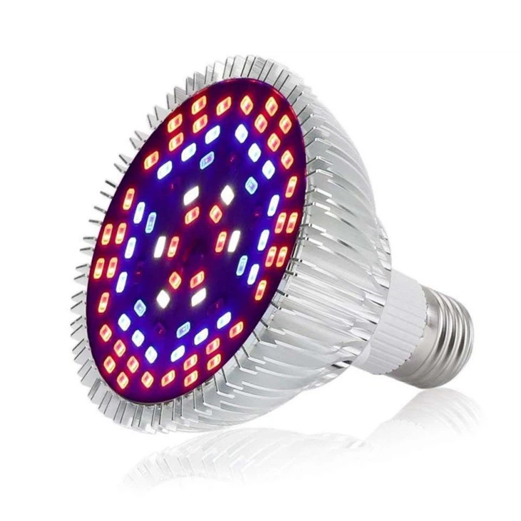 Red Light Light Bulbs