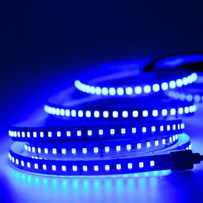 24V LED Strips Blauw