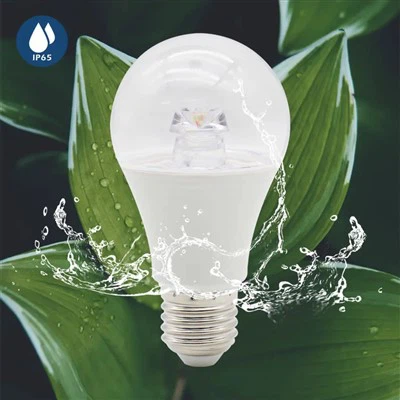 A60 Plant Led-kweeklamp