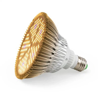 Bol Licht Groeien