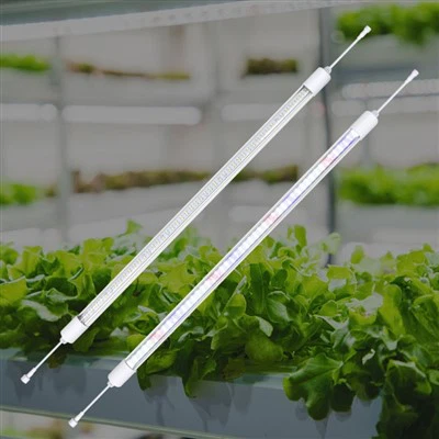 Kasverlichting Voor De Winter