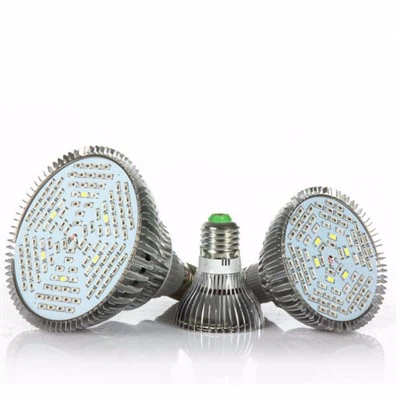 Kweek Gloeilampen Voor Kamerplanten