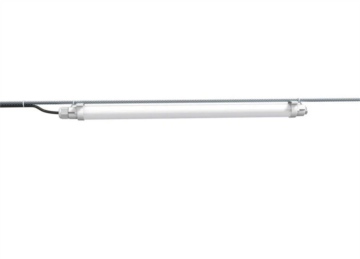 artificial lighting for chickens -