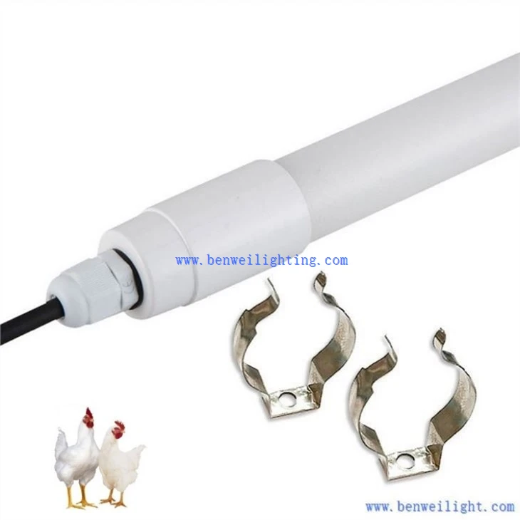 0-12V Dimmable 3400K 12W Chicken Light