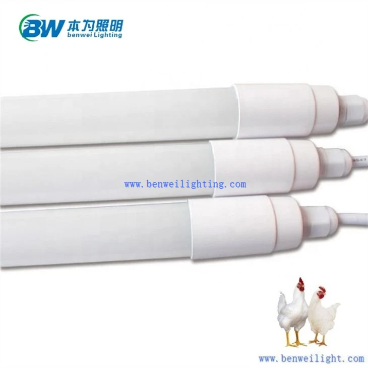 0-12V Dimmable 3400K 12W Chicken Light