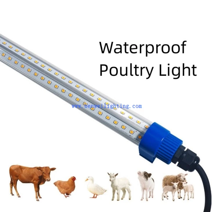 0-12V Dimmable 3400K 12W Chicken Light