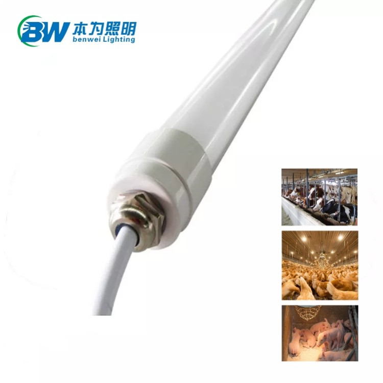 0-12V Dimmable 4200K 12W Chicken Light