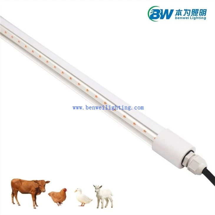 chicken coop timer light