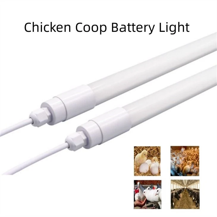 90cm Led Chicken Lighting