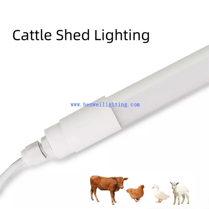 Chicken Light With 0-12V 5400K 30W 20W