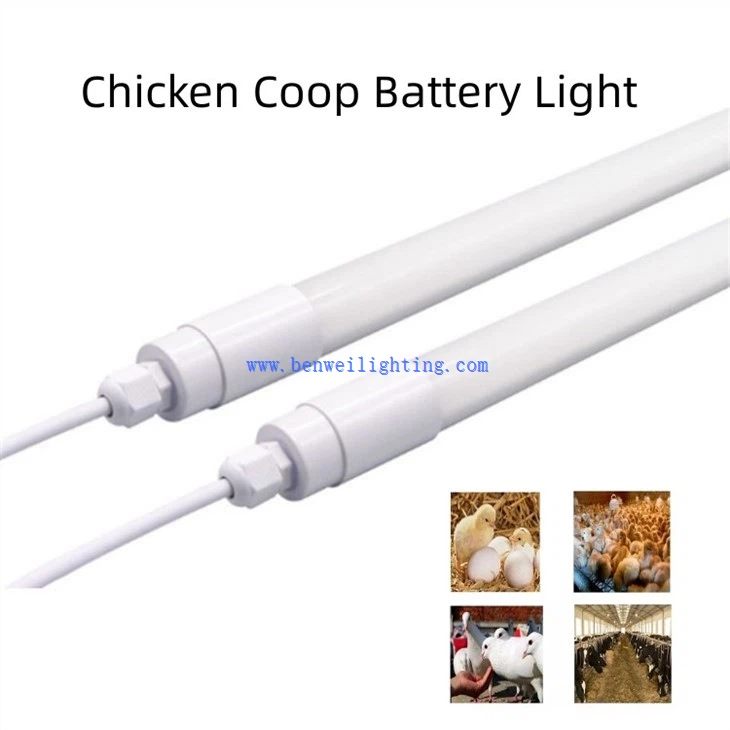 Chicken Light With 0-12V 5400K 30W 20W