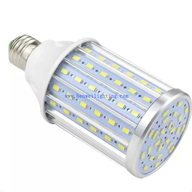 Corn Bulb CE (2)