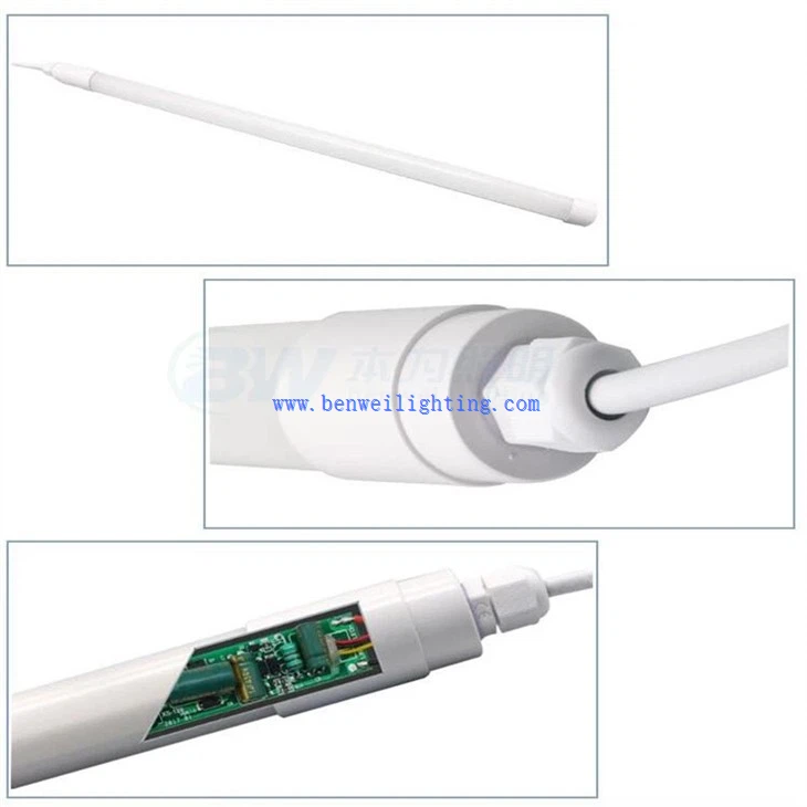 Dairy Cow Breeding Light (1)