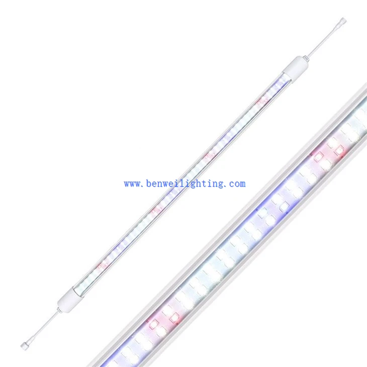 full spectrum light bulbs for plants