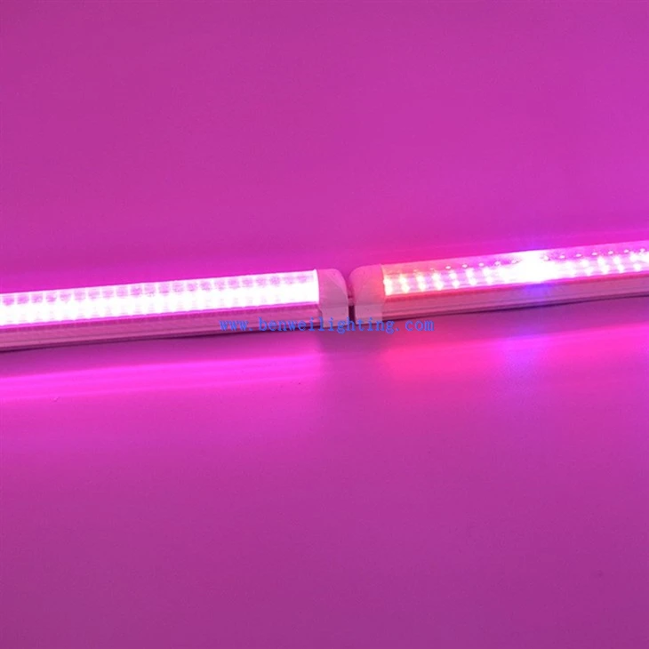 Indoor T8 Growing Light Led Indoor