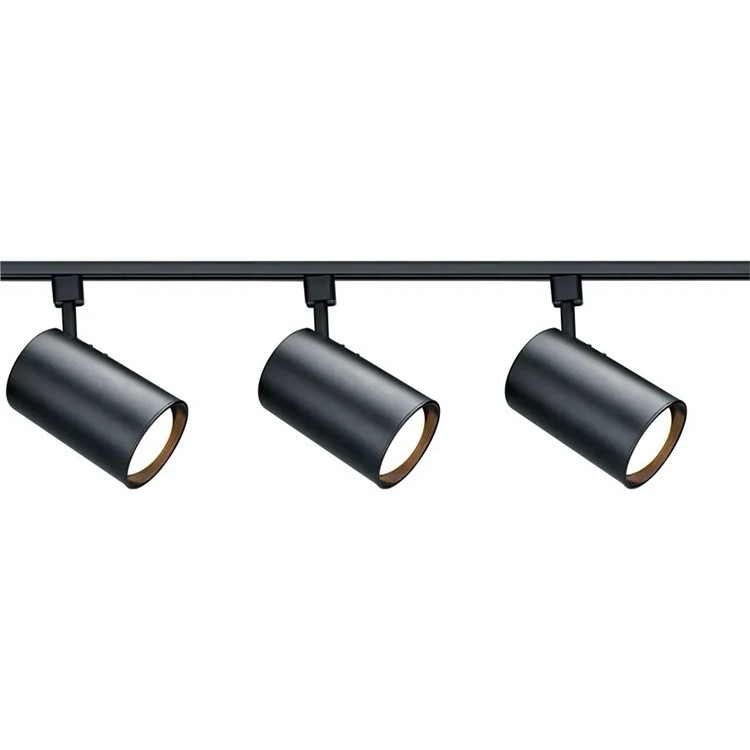 Flexible track light 3