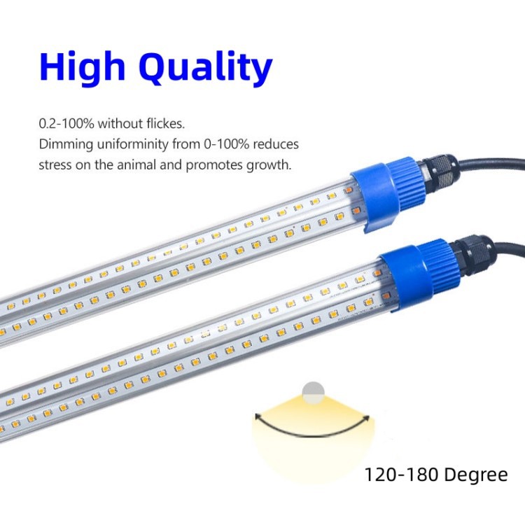 lights for chicken egg production lights for chicken egg production