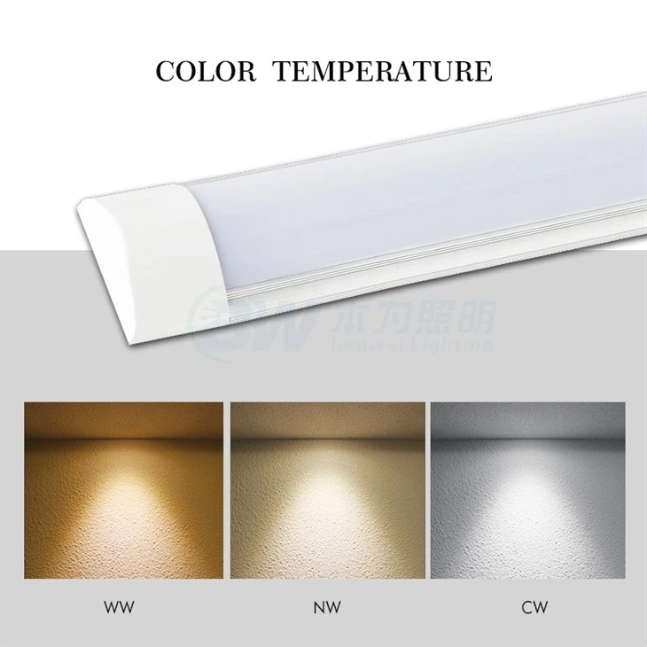 Led Batten Light Frosted