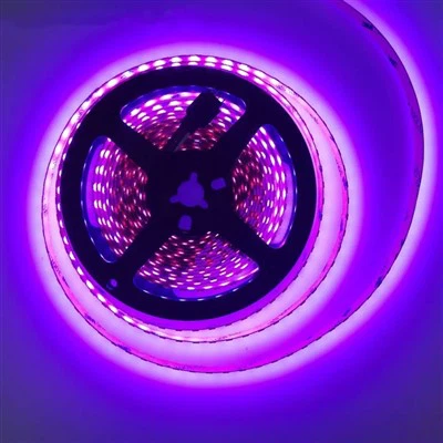 30 meter ledstriplicht
