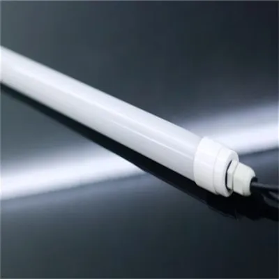 Eendenhuis licht
